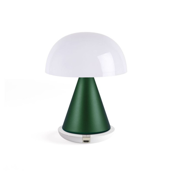 Grande lampe publicitaire LED portative