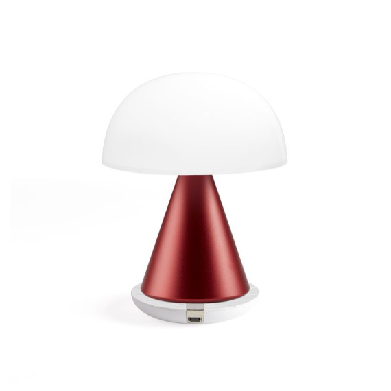 Grande lampe publicitaire LED portative