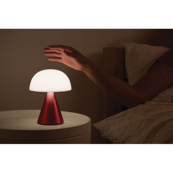 Grande lampe publicitaire LED portative