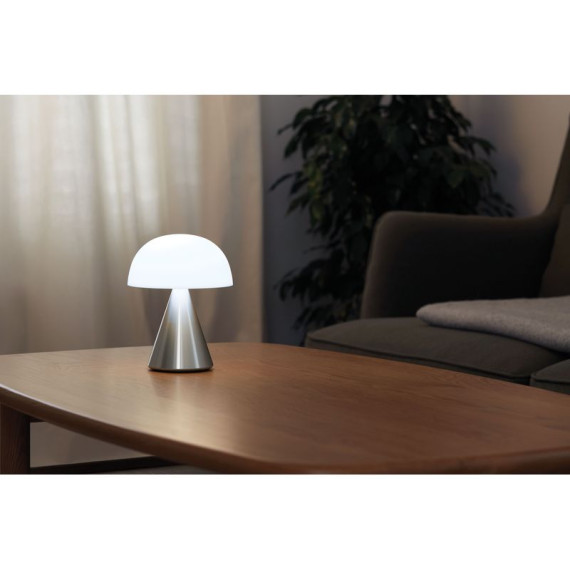 Grande lampe publicitaire LED portative