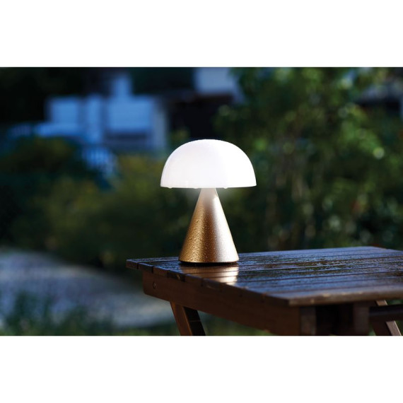 Grande lampe publicitaire LED portative