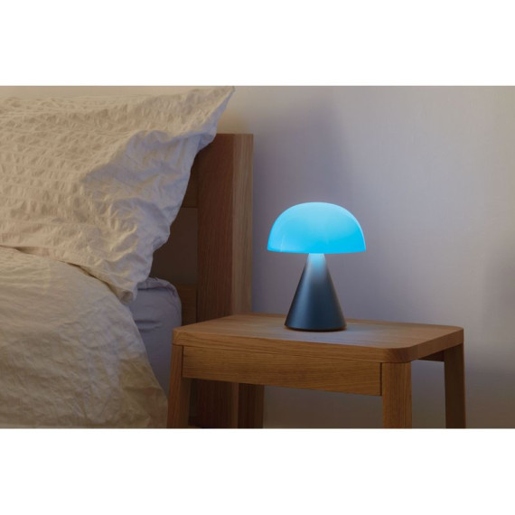 Grande lampe publicitaire LED portative