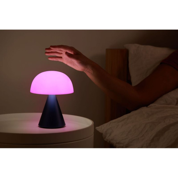 Grande lampe publicitaire LED portative