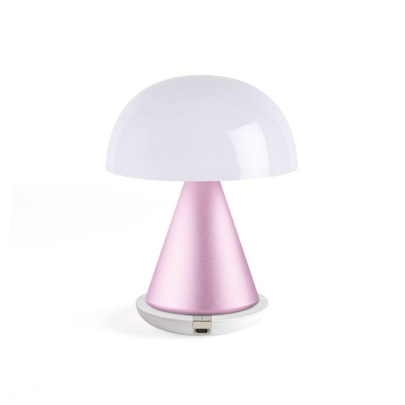 Grande lampe publicitaire LED portative