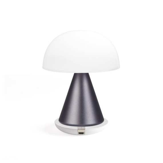 Grande lampe publicitaire LED portative