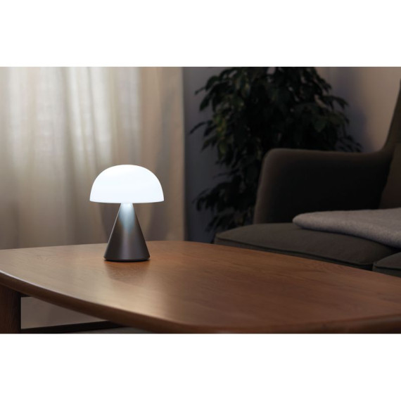 Grande lampe publicitaire LED portative