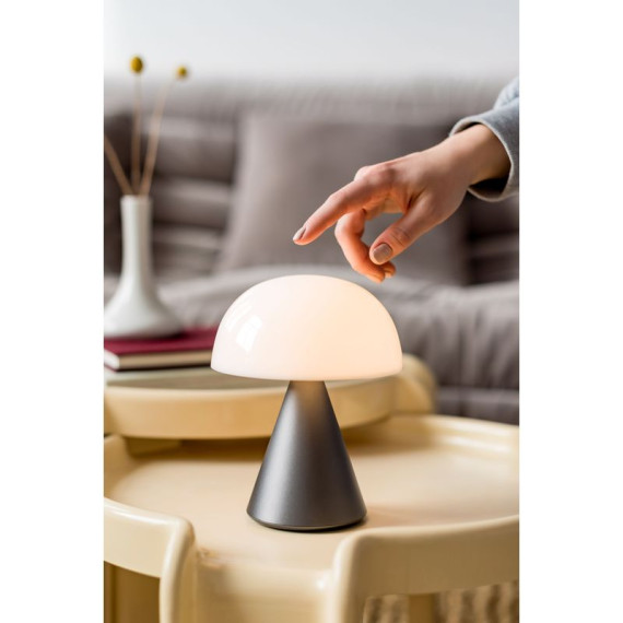 Grande lampe publicitaire LED portative