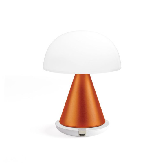 Grande lampe publicitaire LED portative