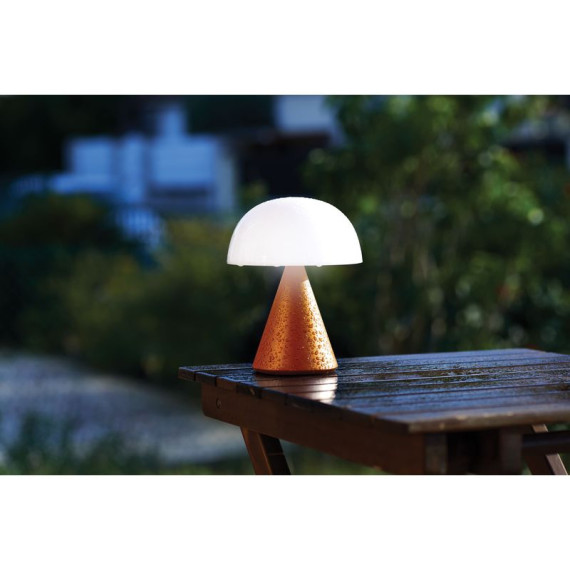 Grande lampe publicitaire LED portative