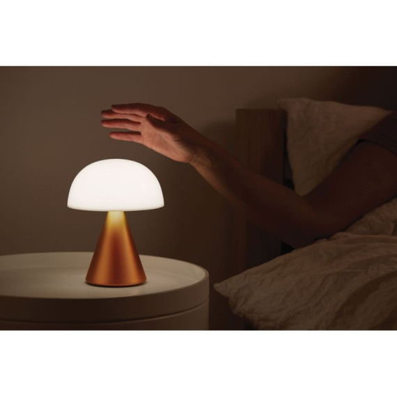 Grande lampe publicitaire LED portative