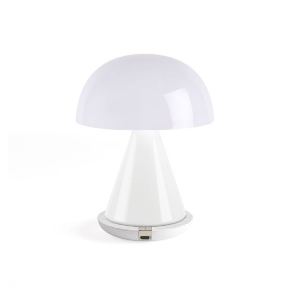 Grande lampe publicitaire LED portative