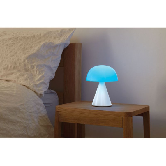 Grande lampe publicitaire LED portative