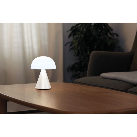 Grande lampe publicitaire LED portative