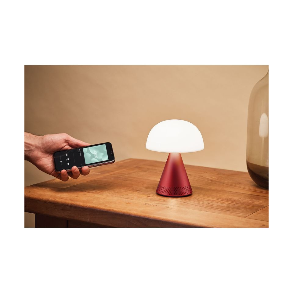 Grande lampe publicitaire audio DEL portative