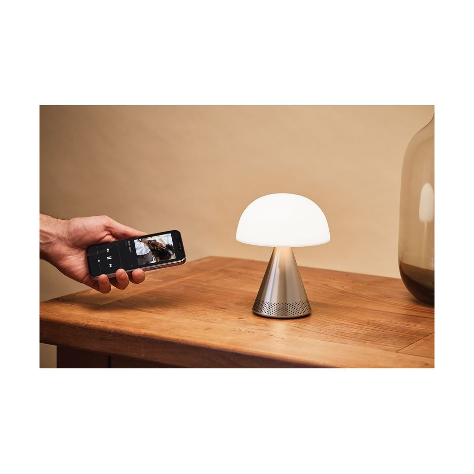 Grande lampe publicitaire audio DEL portative