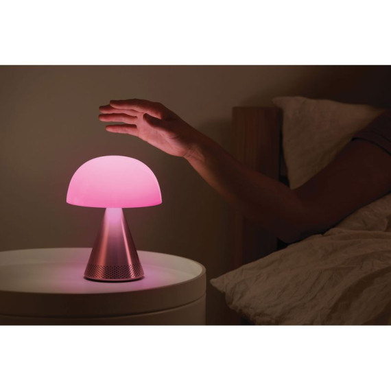 Grande lampe publicitaire audio DEL portative