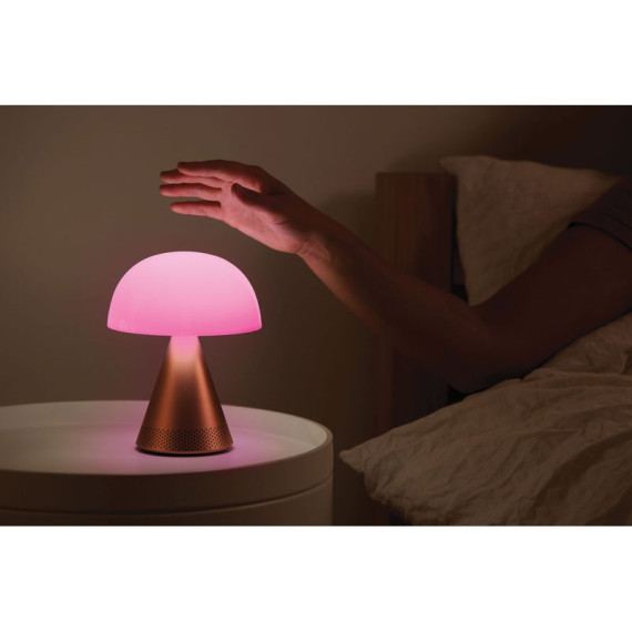 Grande lampe publicitaire audio DEL portative