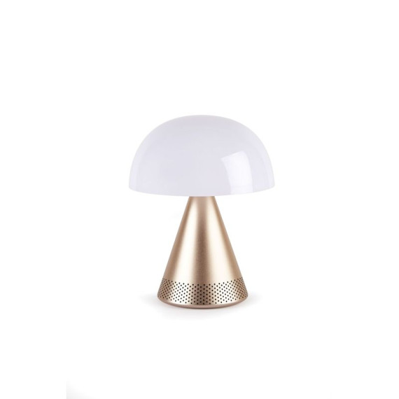 Grande lampe publicitaire audio DEL portative