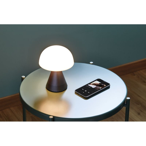 Grande lampe publicitaire audio DEL portative