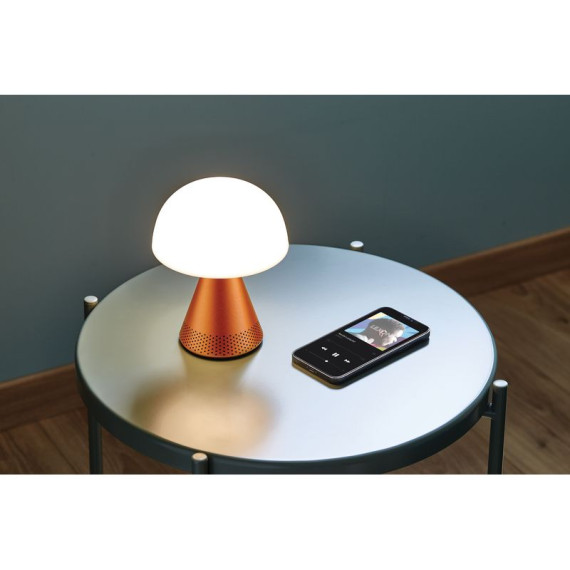 Grande lampe publicitaire audio DEL portative