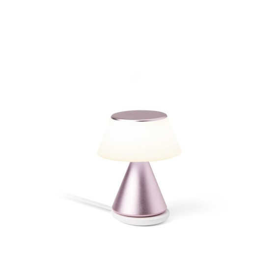 Lampe publicitaire LED portative avec fonction de synchronisation exclusive des ampoules mutliples