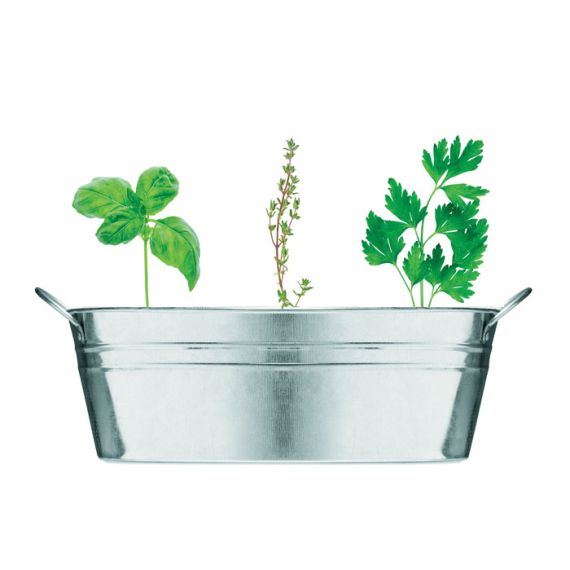 Bac à plantes en zinc personnalisable avec une sélection de 3 plantes fabriqué en Europe 