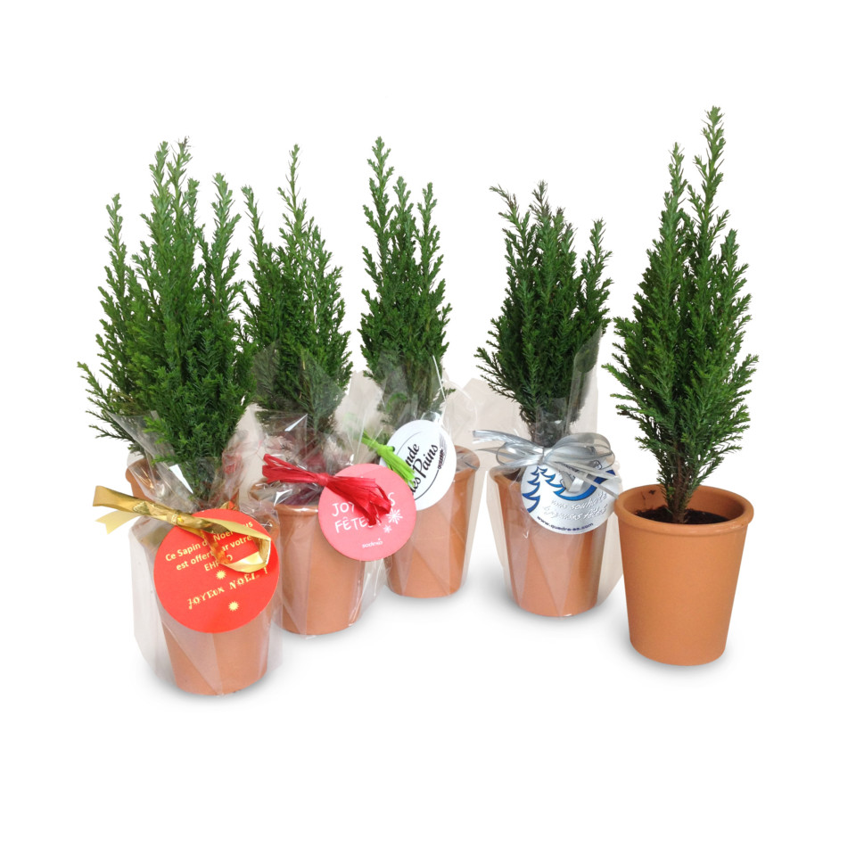 Mini sapin publicitaire en pot TC 7cm