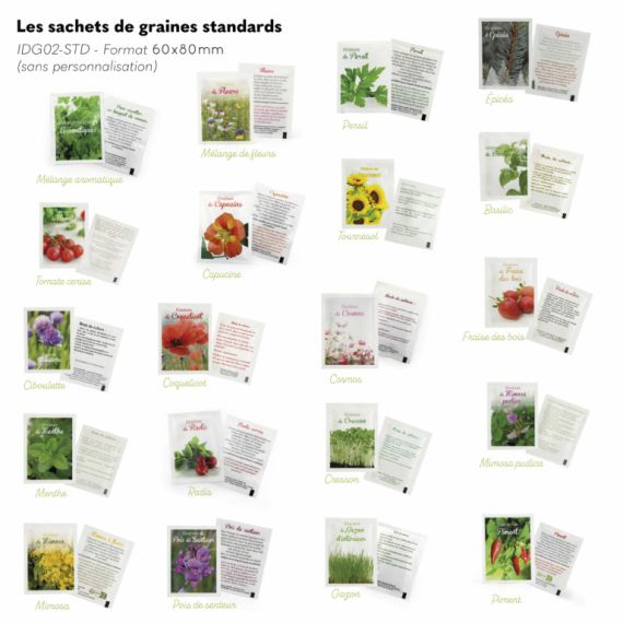 Carte publicitaire pot bambou biodégradable