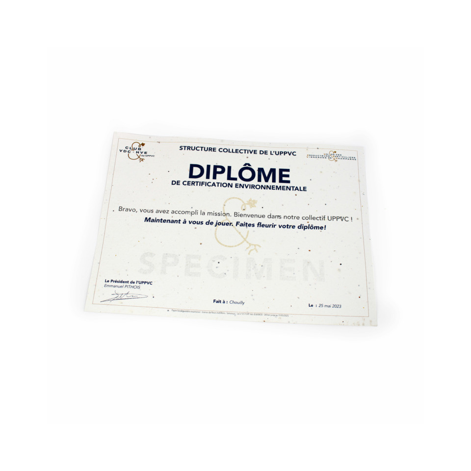 Diplôme publicitaire A4 - 200g