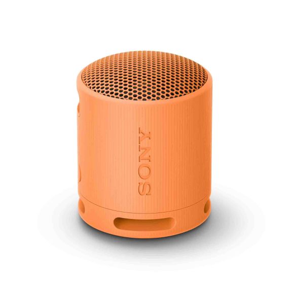 Enceinte Sony publicitaire SRS-XB100