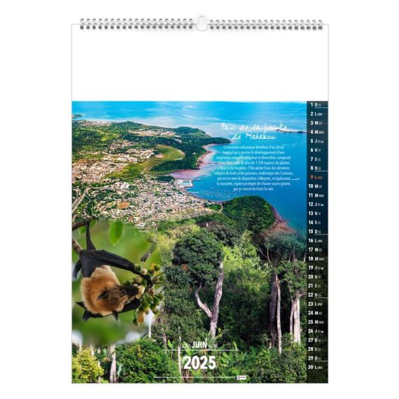 Calendrier publicitaire fabriqué en France13 feuillets l'île de la Réunion grand format