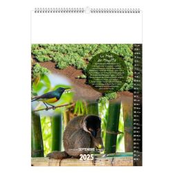 Calendrier publicitaire fabriqué en France13 feuillets l'île de la Réunion grand format