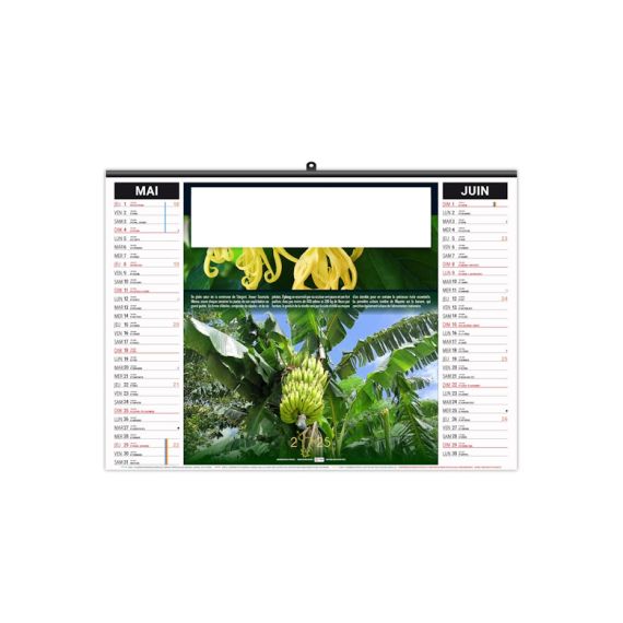 Calendrier économique publicitaire fabriqué en France 6 feuillets Réunion