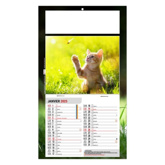 Calendrier personnalisé fabriqué en France 1 Vue Rex
