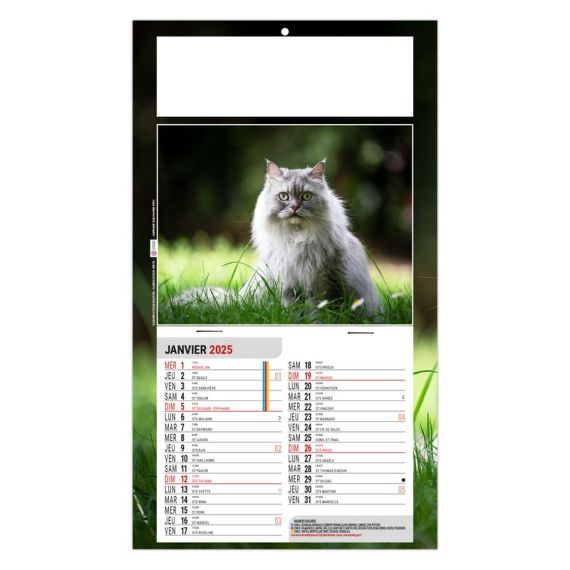 Calendrier personnalisé fabriqué en France 1 Vue Rex