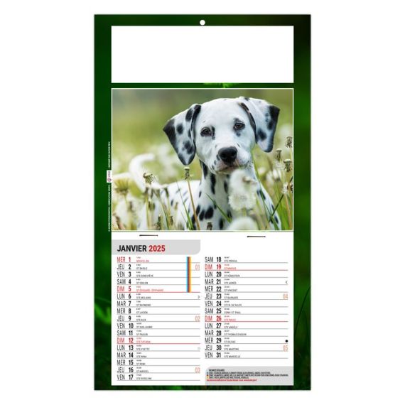 Calendrier personnalisé fabriqué en France 1 Vue Rex