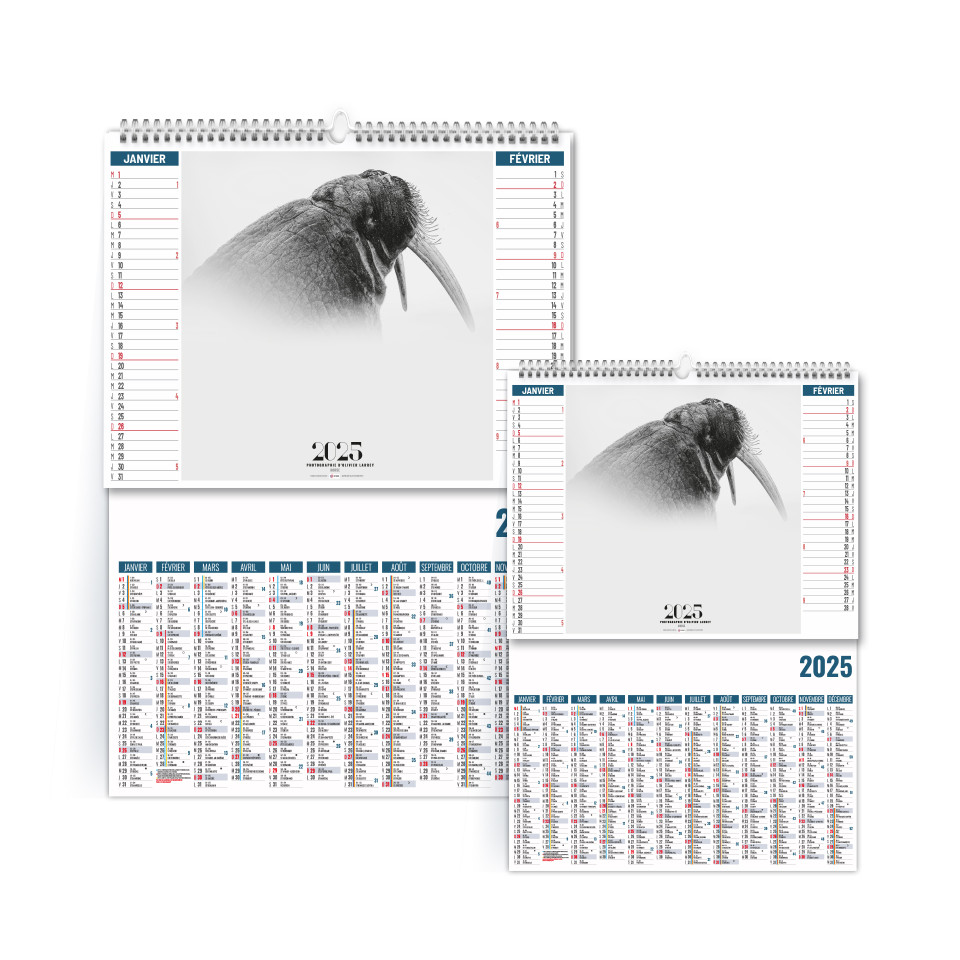 Calendriers personnalisés fabriqués en France 6 feuillets Paradis blanc 2 en 1