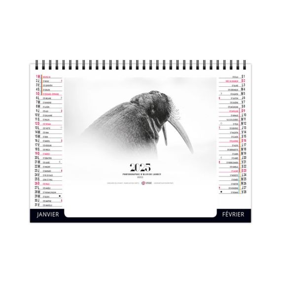 Calendrier publicitaire personnalisable fabriqué en France de bureau Paradis Blanc 7 feuillets