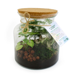 Terrarium modèle relaxant  (à partir de 25ex sur devis)