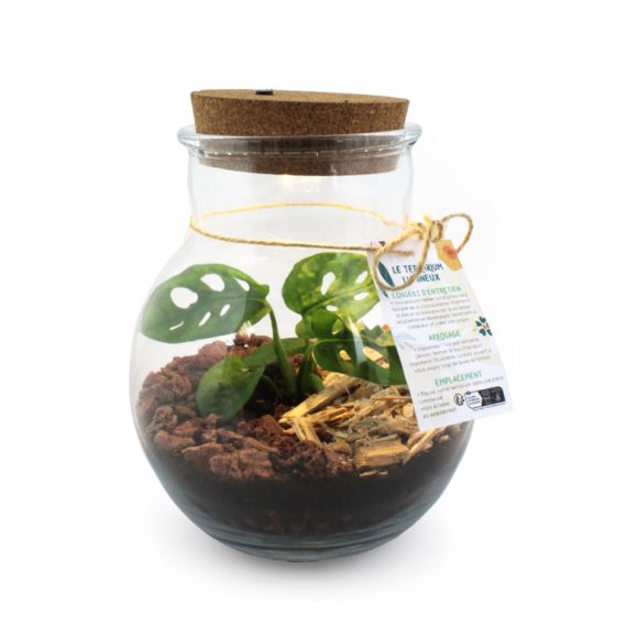 Terrarium personnalisé LED fabriquée en France